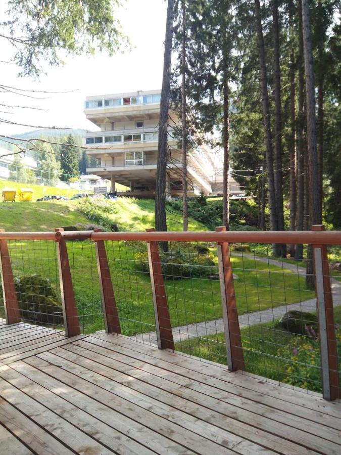 Sul Cucuzzolo Διαμέρισμα Marilleva Εξωτερικό φωτογραφία